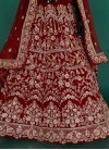 Soft Net Designer Lehenga Choli - 2