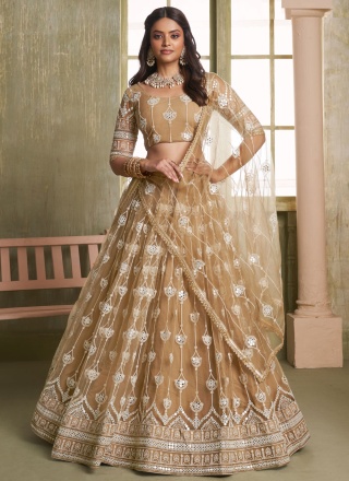 Astounding Khaki Net A Line Lehenga Choli