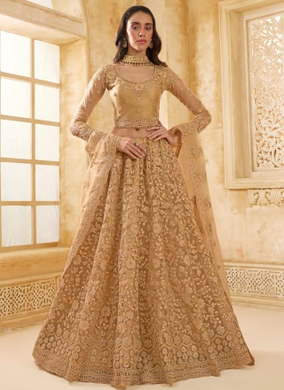 Brown Mehndi Net Trendy Lehenga Choli