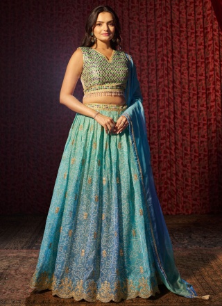 Embroidered Organza Lehenga Choli in Aqua Blue