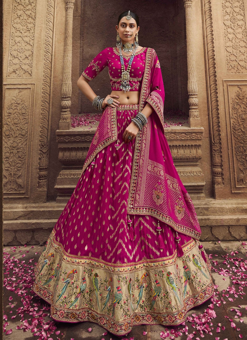 Subtle Rani Embroidered Long Choli Lehenga